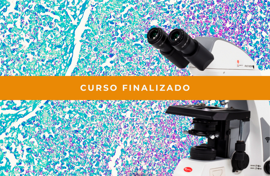 Técnicas Histoquímicas I