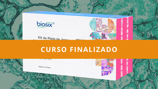 Curso Teórico Fijación e Impregnaciones Argénticas